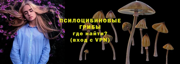 mdpv Магадан
