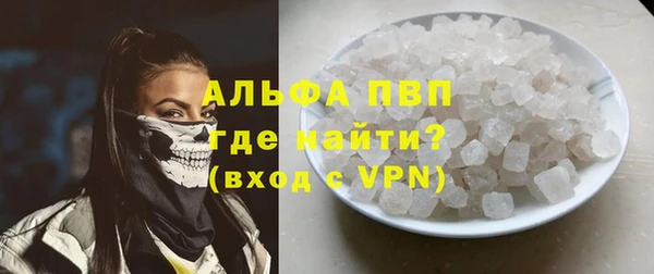 индика Сясьстрой