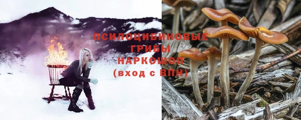 прущие грибы Ладушкин