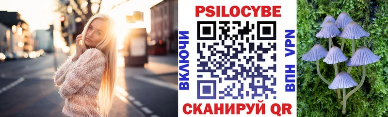 Псилоцибиновые грибы Psilocybine cubensis  Злынка 
